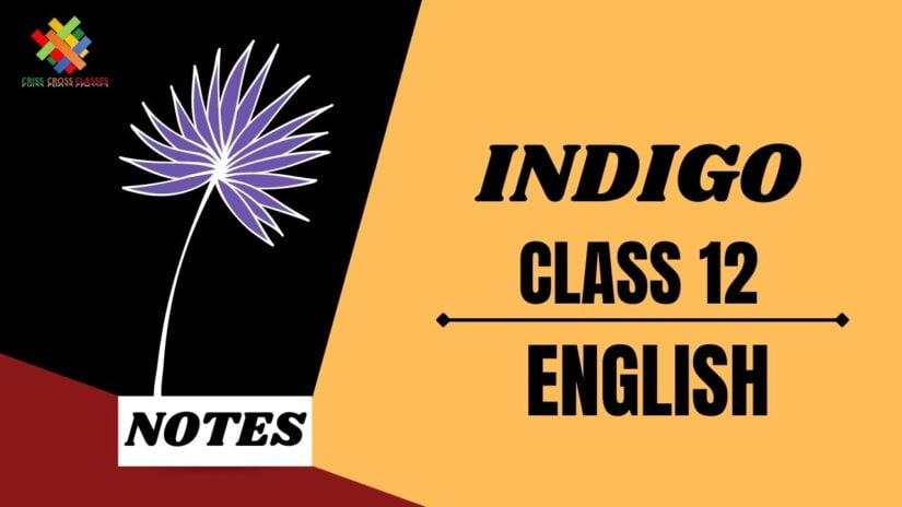 Class 12 English Flamingo Chapter 5 indigo summary